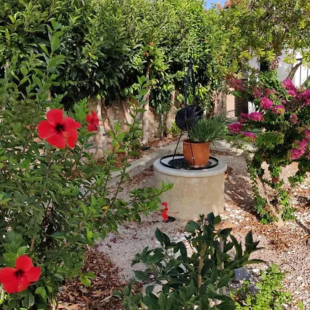 Nicolas Traditional House Istrios