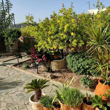 Nicolas Traditional House Villa
